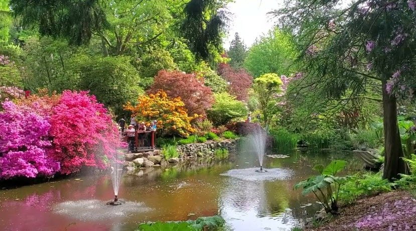The Glades Woodland Garden, Canada